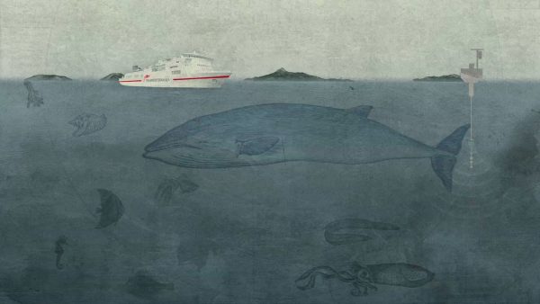 trasmediterranea_g_4