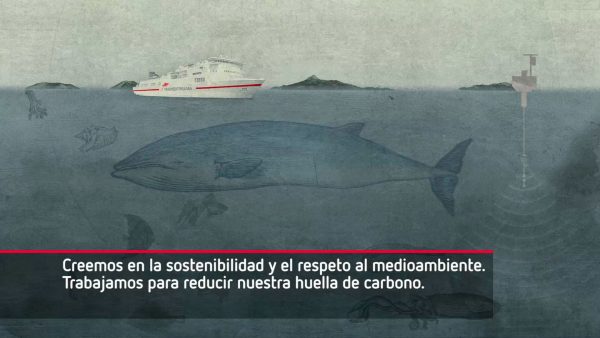 trasmediterranea_g_5