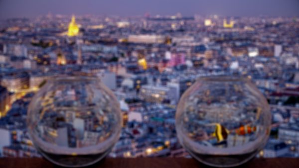 pequenas_coincidencias_10