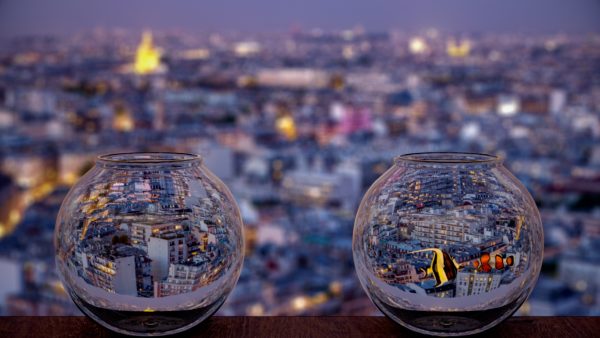 pequenas_coincidencias_9