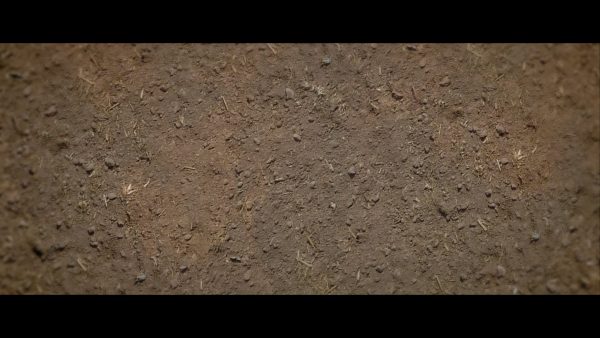 la-piel-en-llamas-creditos-01