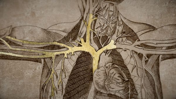 sentimos-las-molestias-serie-02