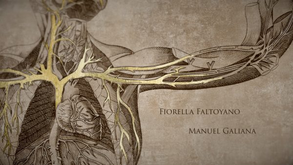 sentimos-las-molestias-serie-03