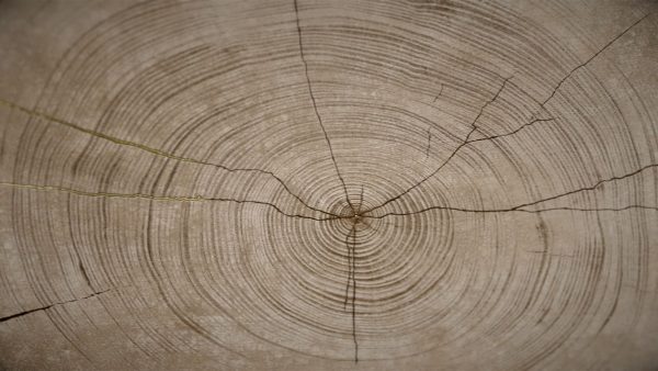 sentimos-las-molestias-serie-04