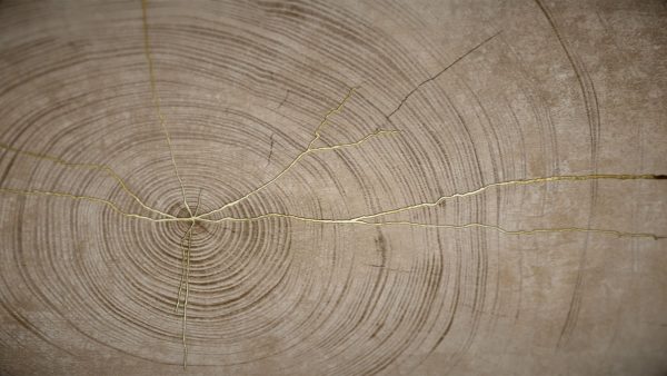 sentimos-las-molestias-serie-05