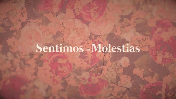 sentimos-las-molestias-serie-12